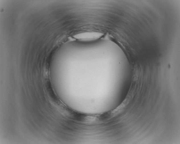 X0000064730176200603131302