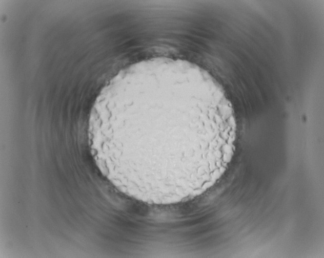 X0000064730177200603131302