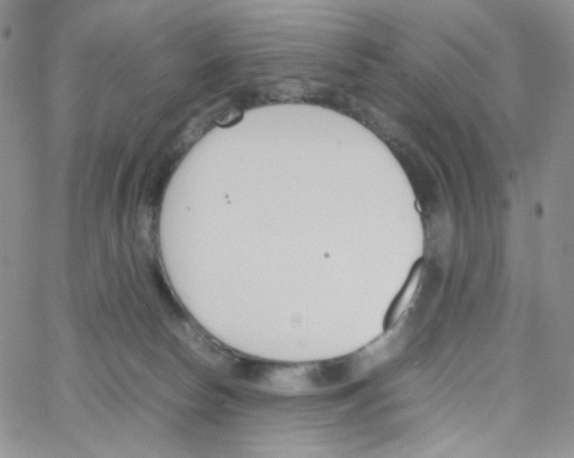 X0000064730178200603131302