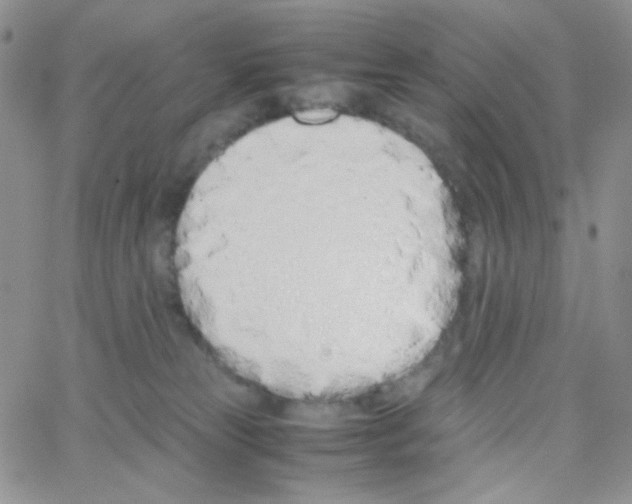 X0000064730181200603131302