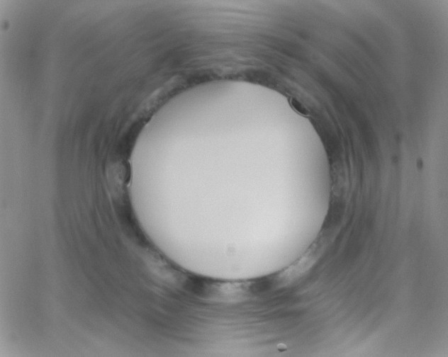 X0000064730184200603131302