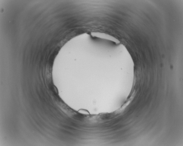 X0000064730186200603131302