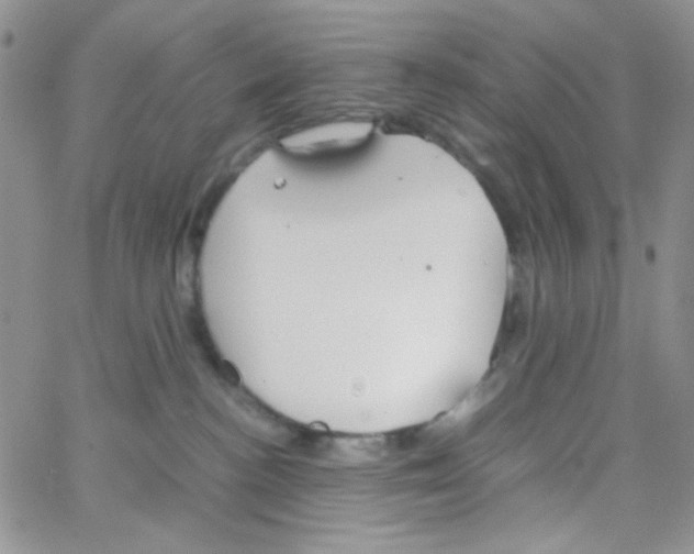 X0000064730188200603131302