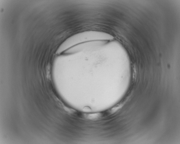 X0000064730189200603131302