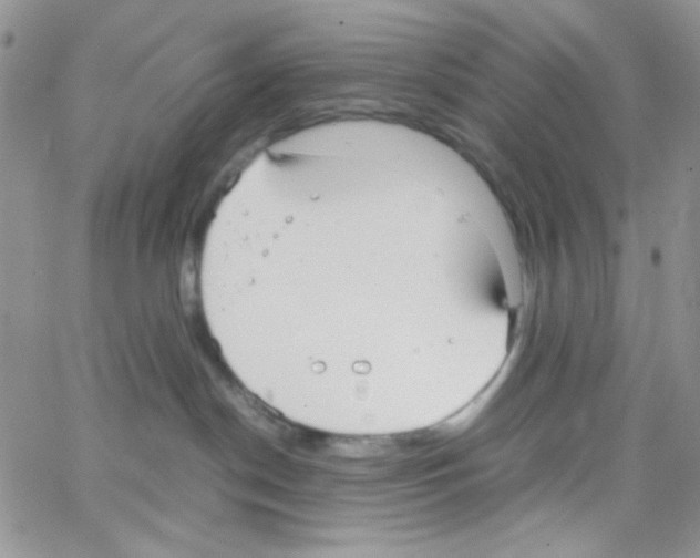 X0000064730190200603131302