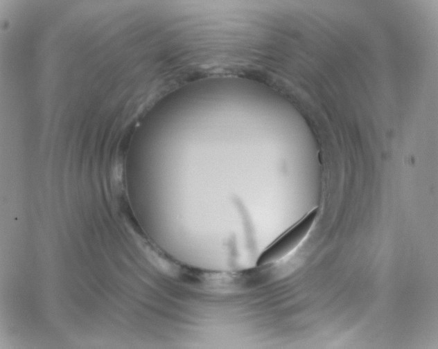 X0000064730192200603131302