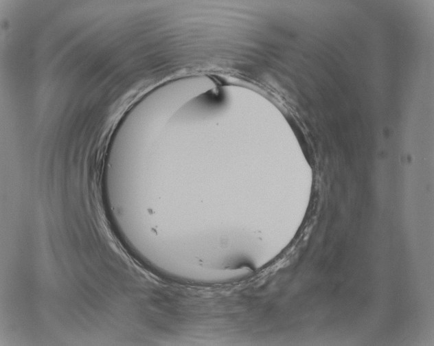 X0000064730193200603131302