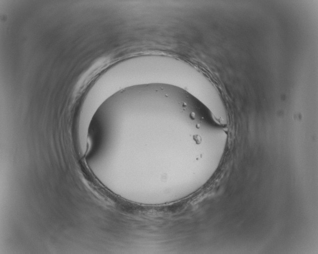 X0000064730197200603131302