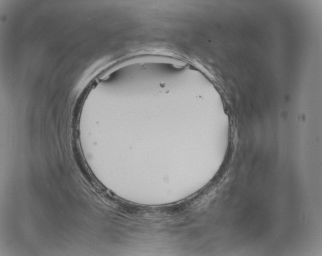 X0000064730199200603131302