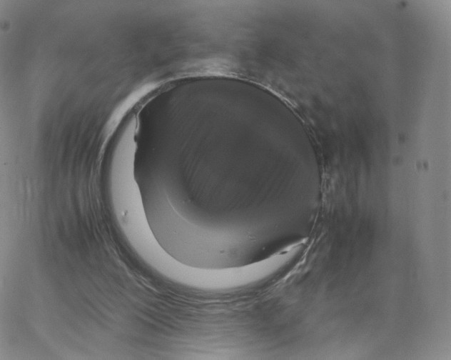 X0000064730200200603131302