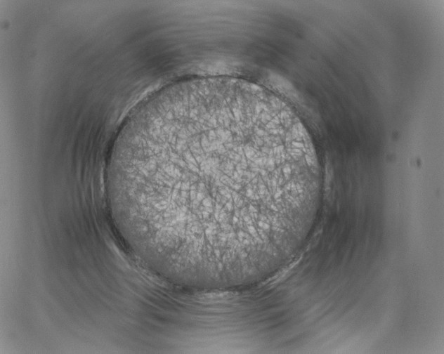 X0000064730202200603131301