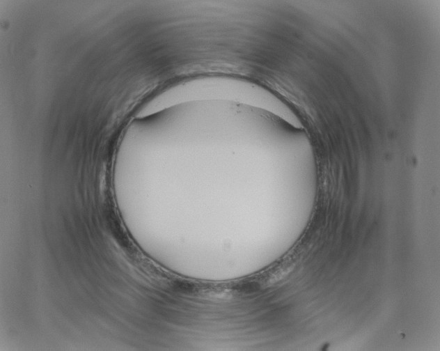 X0000064730206200603131301