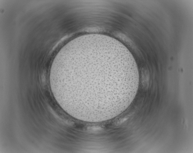 X0000064730208200603131301