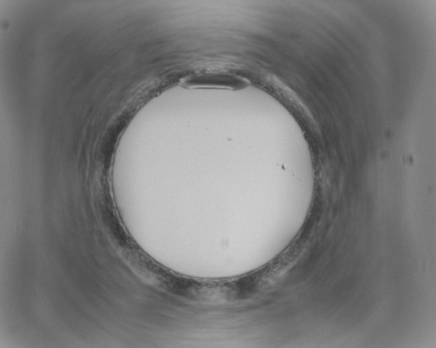 X0000064730209200603131301