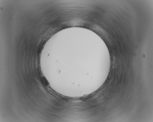 X0000064730210200603131301