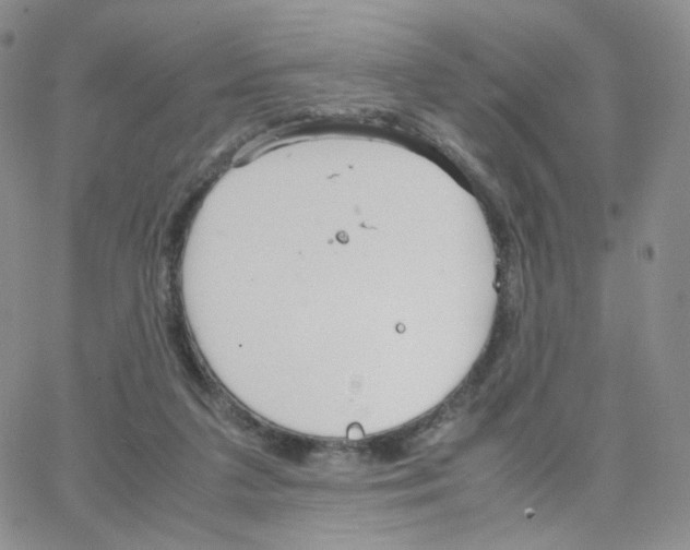 X0000064730211200603131301