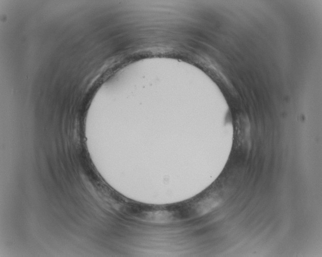 X0000064730212200603131301