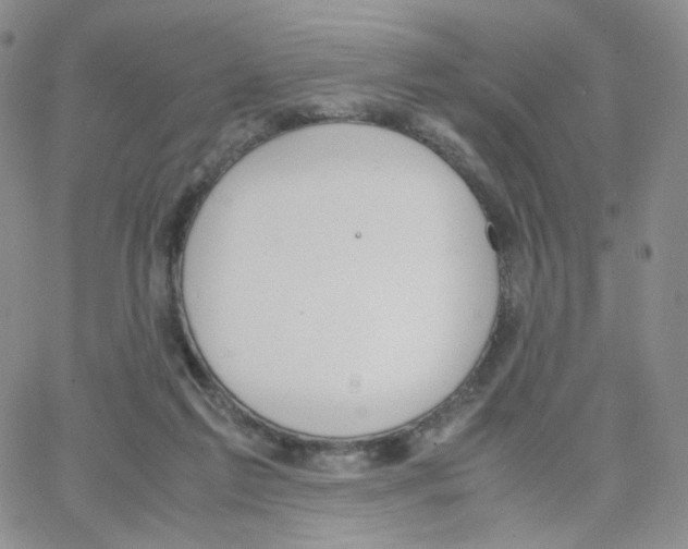 X0000064730213200603131301