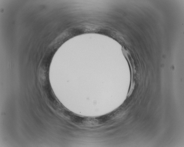 X0000064730215200603131301