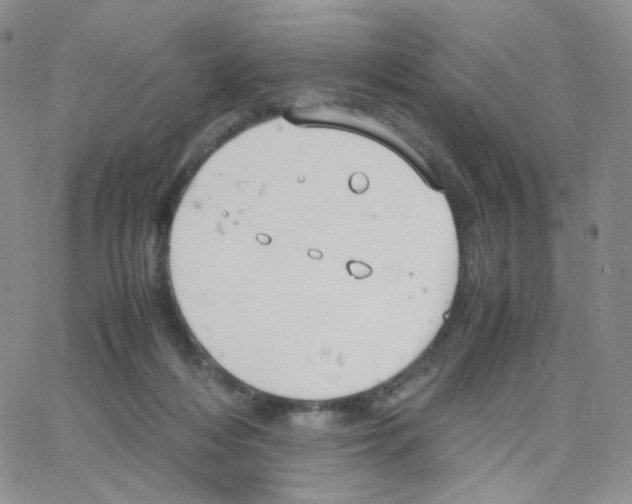 X0000064730216200603131301