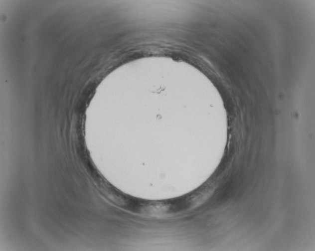 X0000064730217200603131301