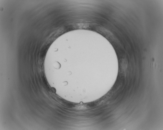 X0000064730218200603131301