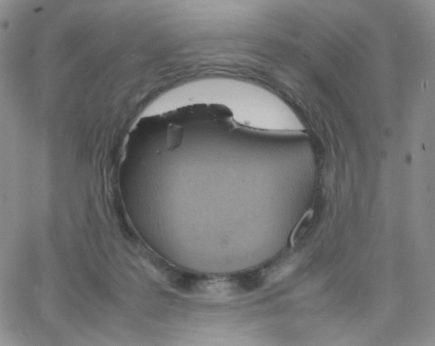 X0000064730219200603131301