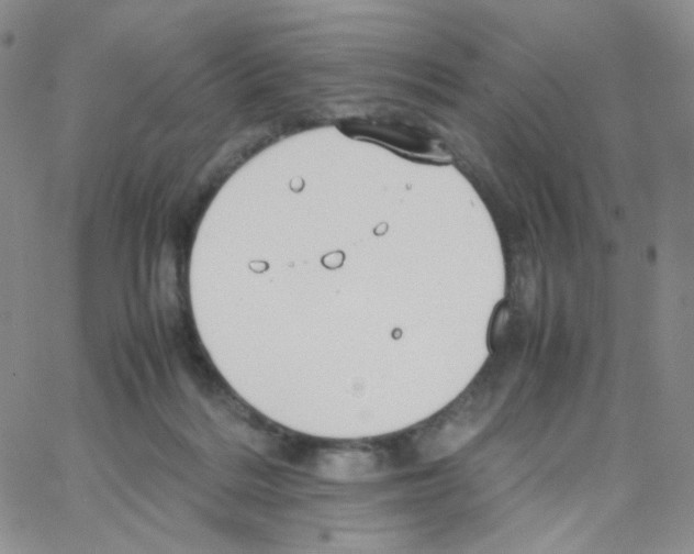 X0000064730220200603131301