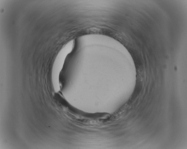 X0000064730223200603131301