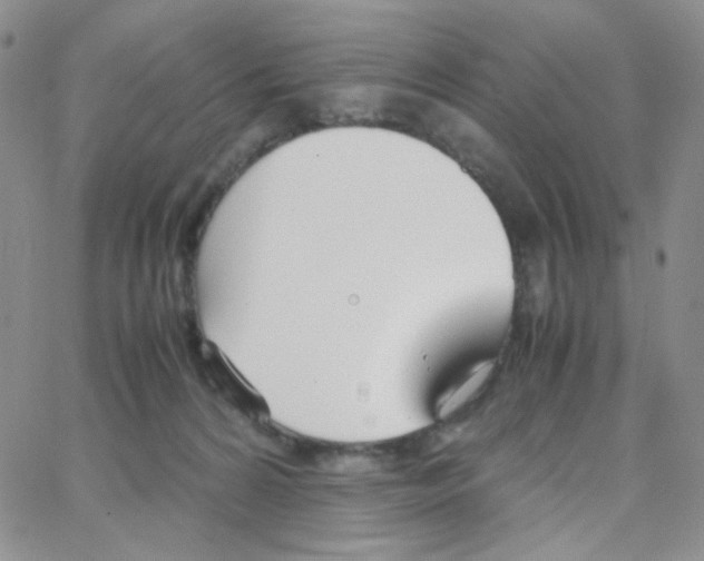 X0000064730224200603131301