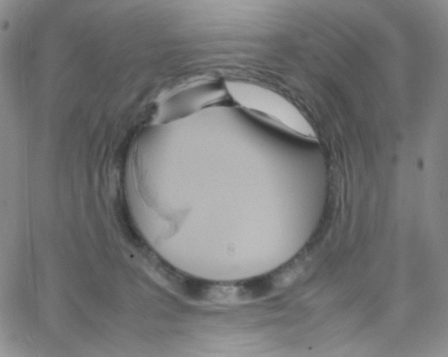 X0000064730227200603131301