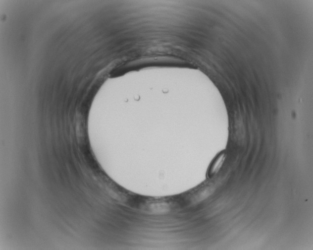 X0000064730228200603131301