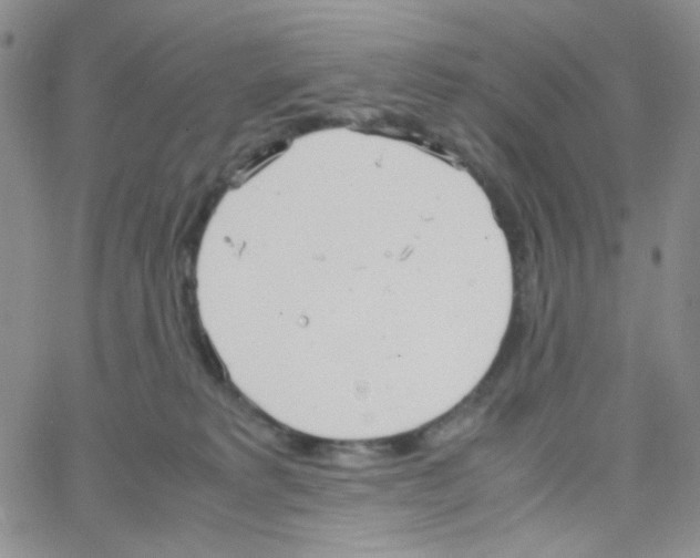 X0000064730229200603131301