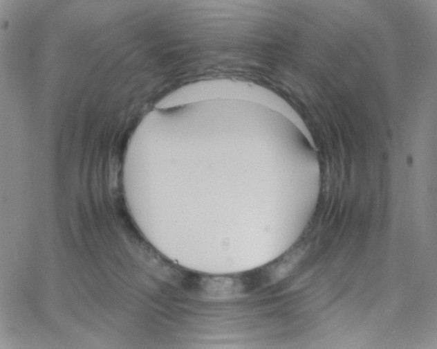 X0000064730230200603131301