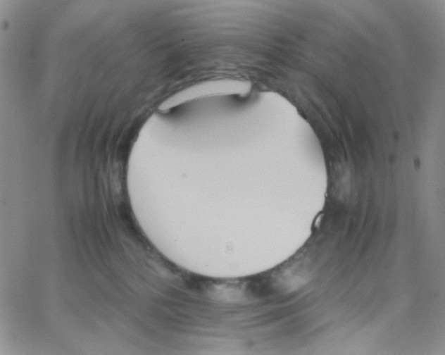 X0000064730232200603131301