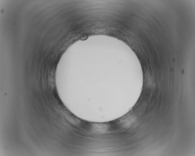 X0000064730234200603131301