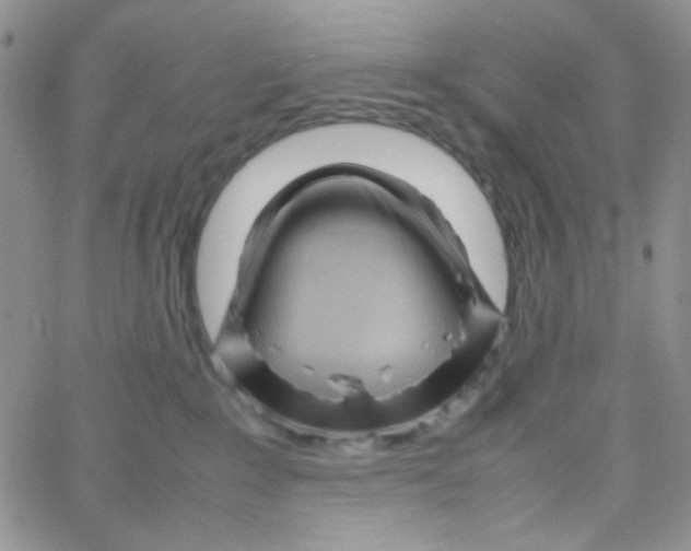 X0000064730235200603131301