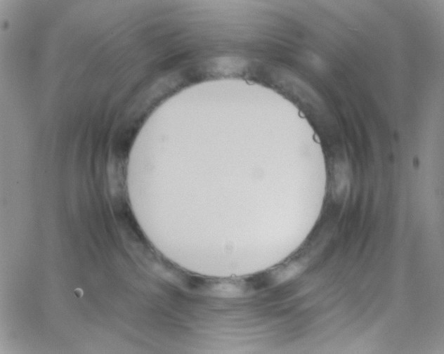 X0000064730236200603131301