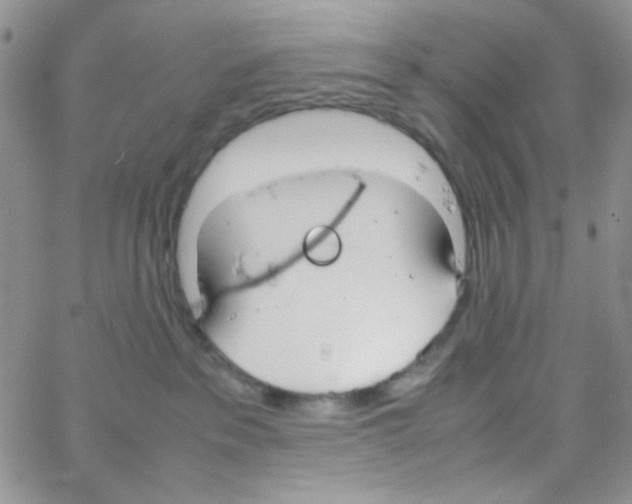 X0000064730237200603131301