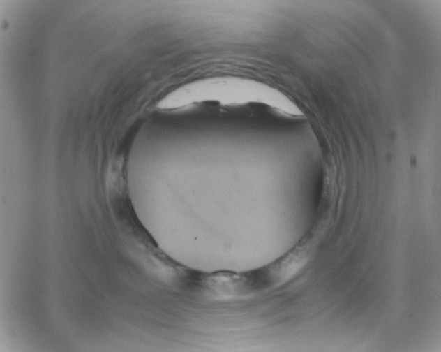 X0000064730239200603131301