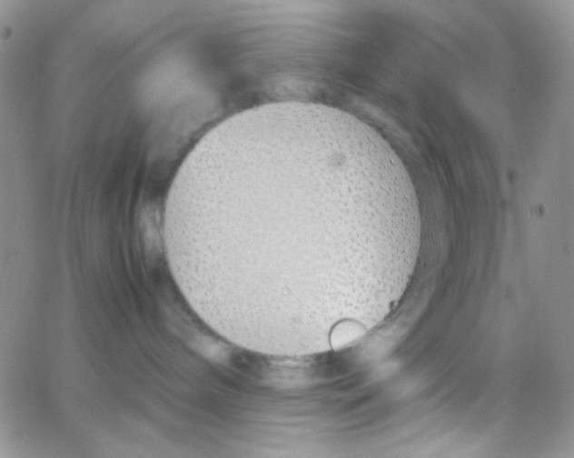 X0000064730240200603131301