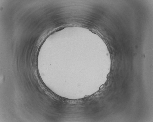 X0000064730241200603131300