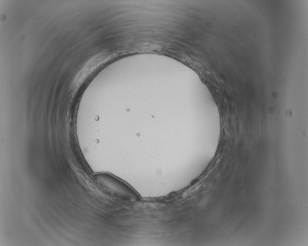 X0000064730242200603131300