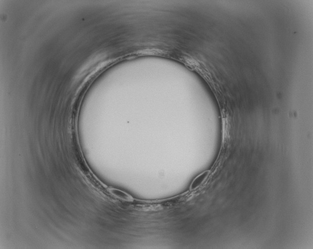 X0000064730243200603131300