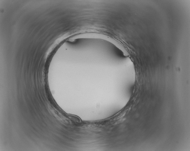 X0000064730244200603131300