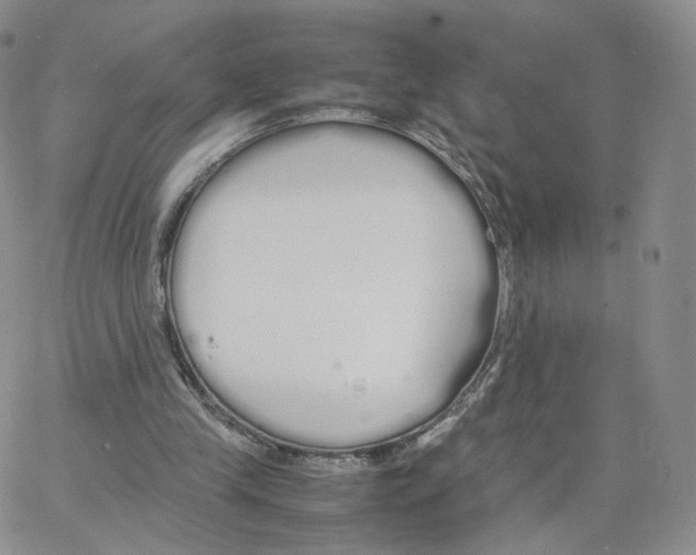 X0000064730245200603131300