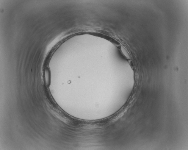 X0000064730246200603131300