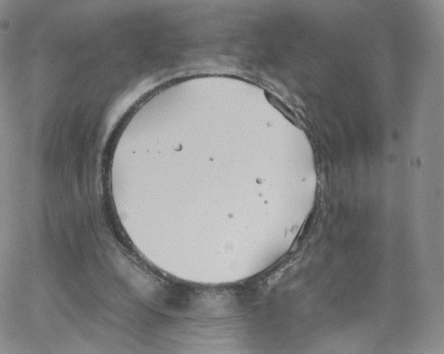 X0000064730248200603131300