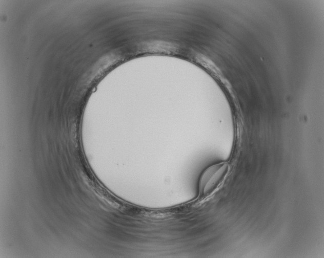 X0000064730249200603131300