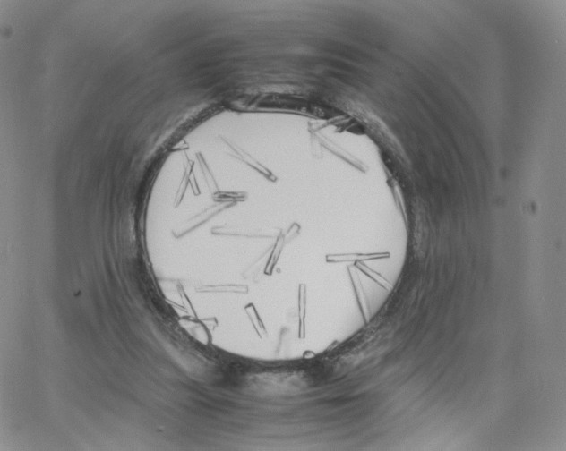 X0000064730251200603131300